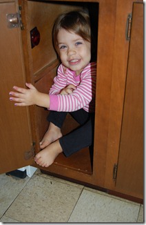 DSC_0801 DSC_0801