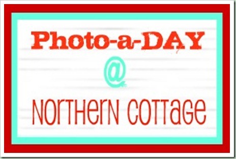 photo-a-day6