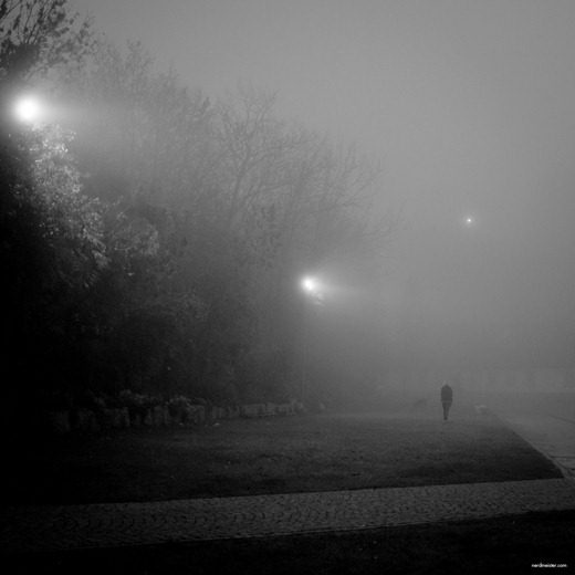 IMG_20111108_175050_9991