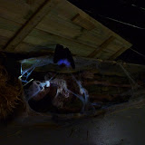 Coffin Corpse - P1020027.JPG