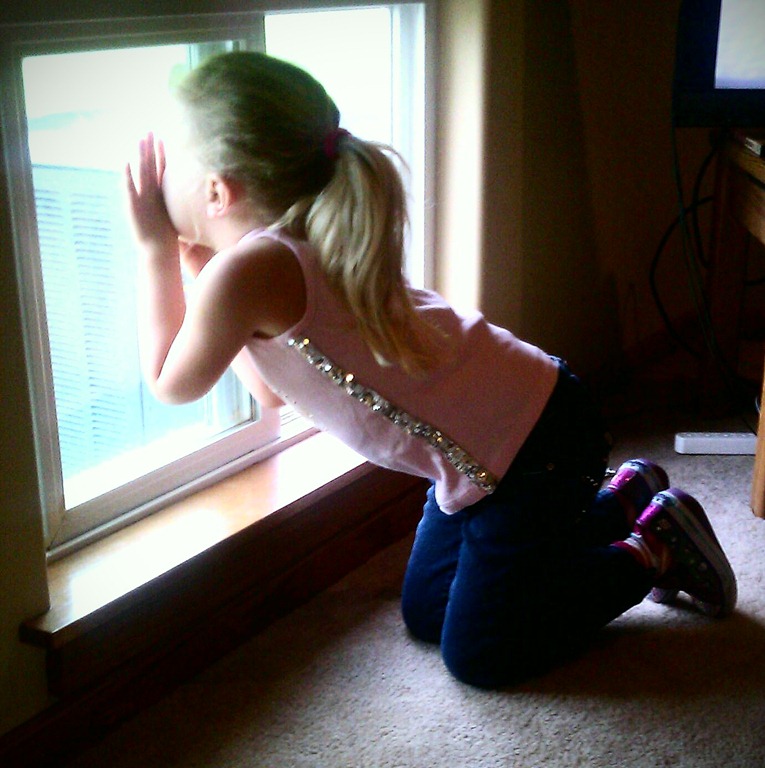 [IMAG2448-1-1%255B2%255D.jpg]