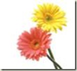 clip_image002