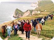 Llama Trekking in Dorset