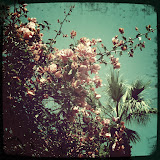 Instasquare