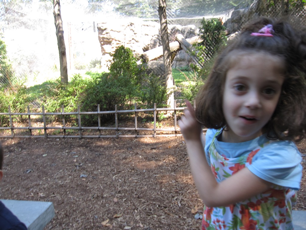 [Picture%2520190%255B3%255D.jpg]