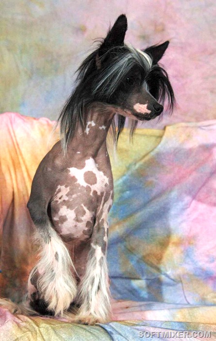 [86622512%255B15%255D.jpg]