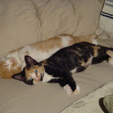 Tink and Tess.