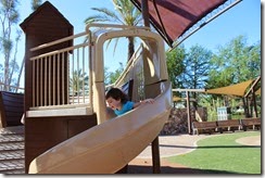 IMG_6514 IMG_6514