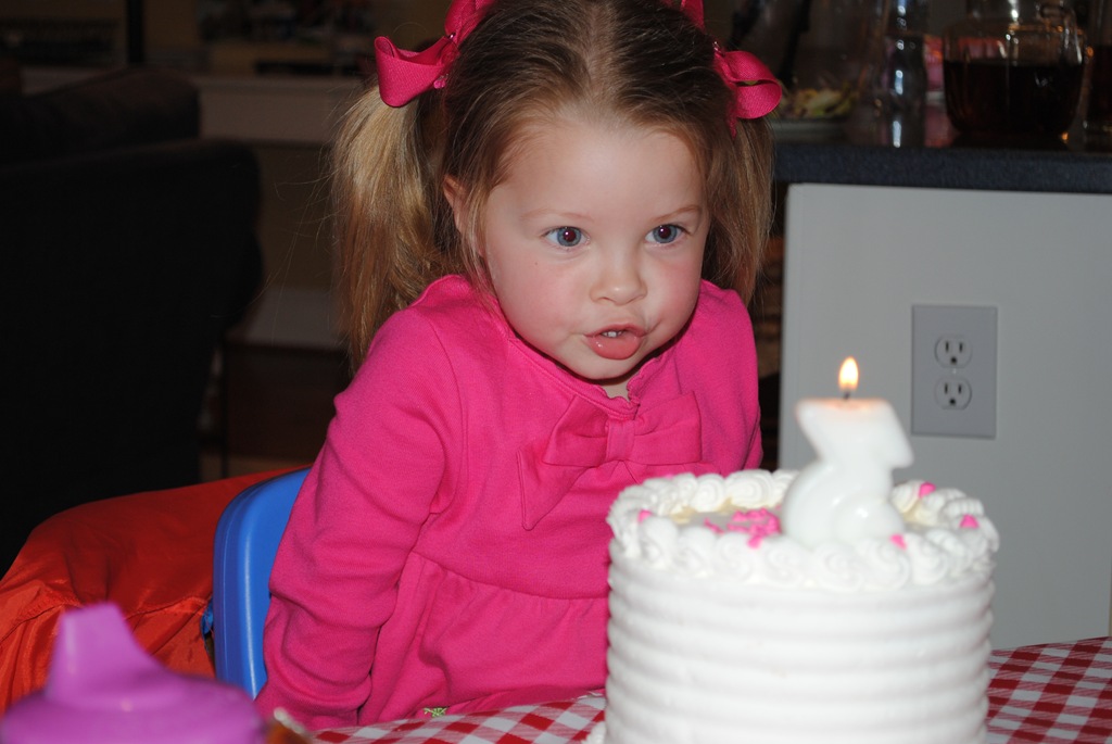[February%2520valentine%2527s%2520and%2520birthday%2520019%255B4%255D.jpg]