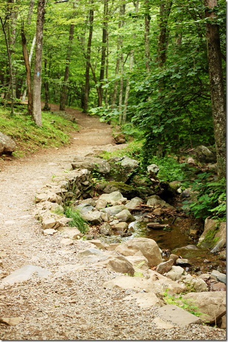trail3 trail3