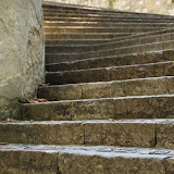 IMG_5755.JPG