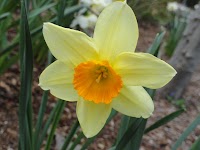 DSC03130.JPG