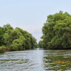 IMG_0292.JPG