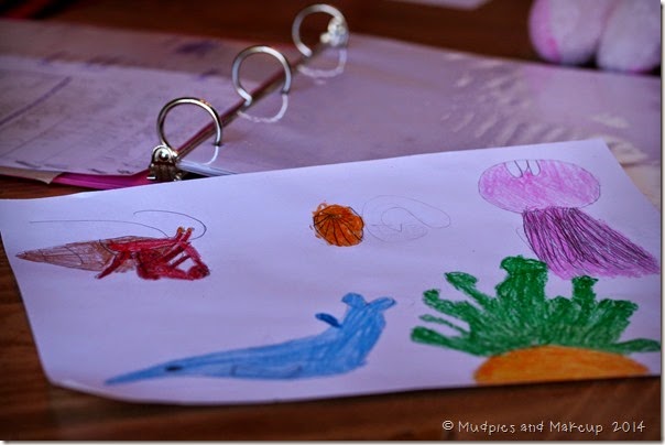 IMG_7026 IMG_7026