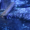 Los Angeles 036.JPG