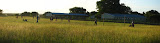 A nice picture of kids playing soccer in the field at Mahlahluvana. South Africa - 318.jpg