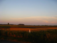 IMG_2926.JPG Photo