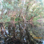 IMG_7872.JPG