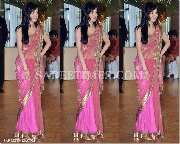 Amrita_Rao_Pink_Shimmer_Saree