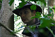 Afc Adam Lyons Pickup Artist Hounting In Jungles