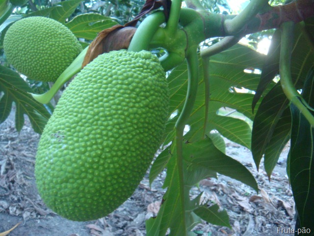 [DSC00024%255B8%255D.jpg]