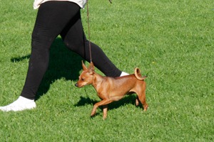 [nilla_movement_2%255B11%255D.jpg]