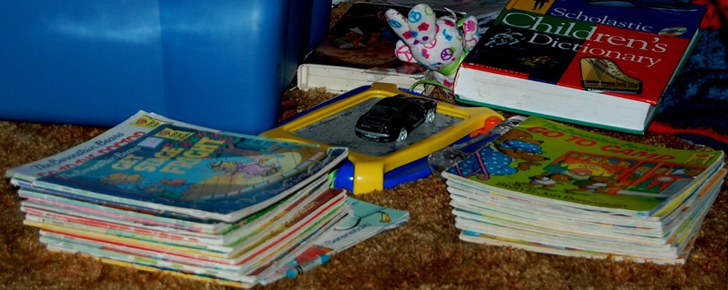 [alibookpile9.jpg]