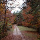 DSC00758.JPG