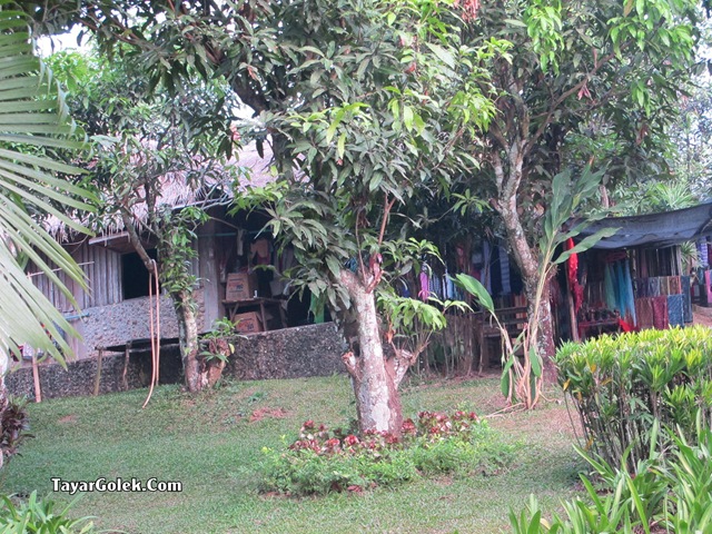 [IMG_76982.jpg]