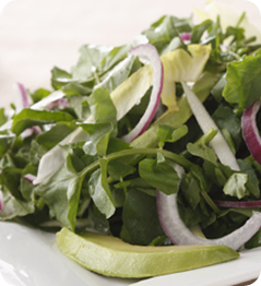 watercress-witlof-and-avocado-salad