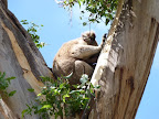 P1020142.JPG