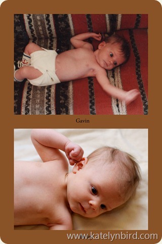 Gavin-Bailey