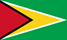 [500px-Flag_of_Guyana.svg_thumb%255B3%255D%255B3%255D.png]
