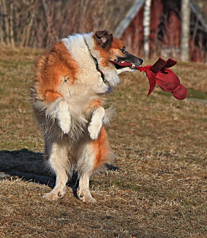 [01mar2012_P%25C3%25A5%2520hytta%2520og%2520hjemme_8565%2520copy%255B4%255D.jpg]