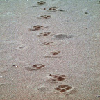 20100826_084_small.JPG