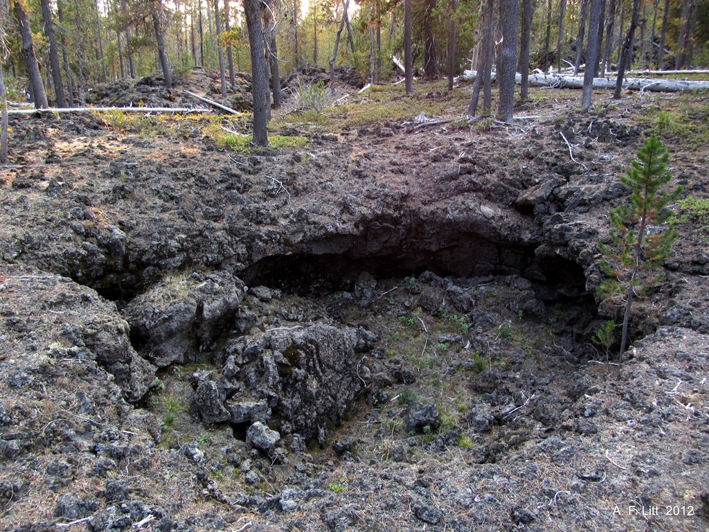 [IMG_2248%255B8%255D.jpg]
