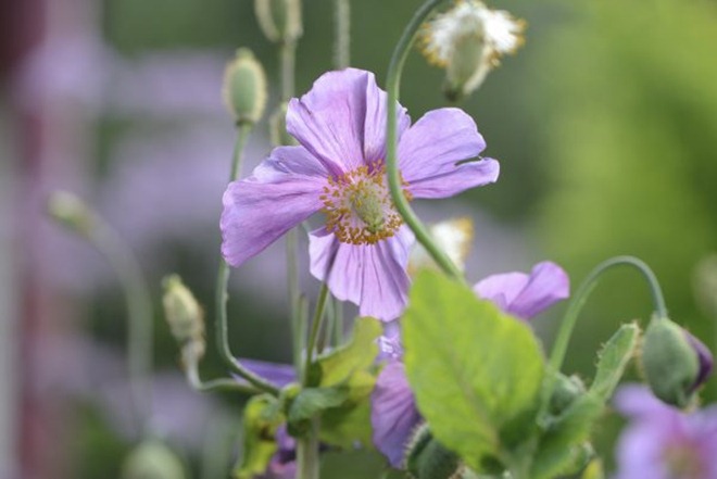 claus20120706_171044