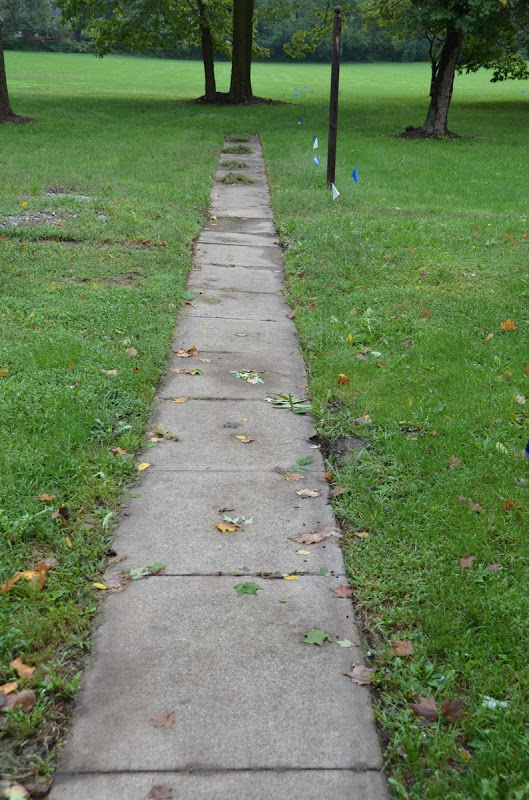 DSC_3008.jpg DSC 3008