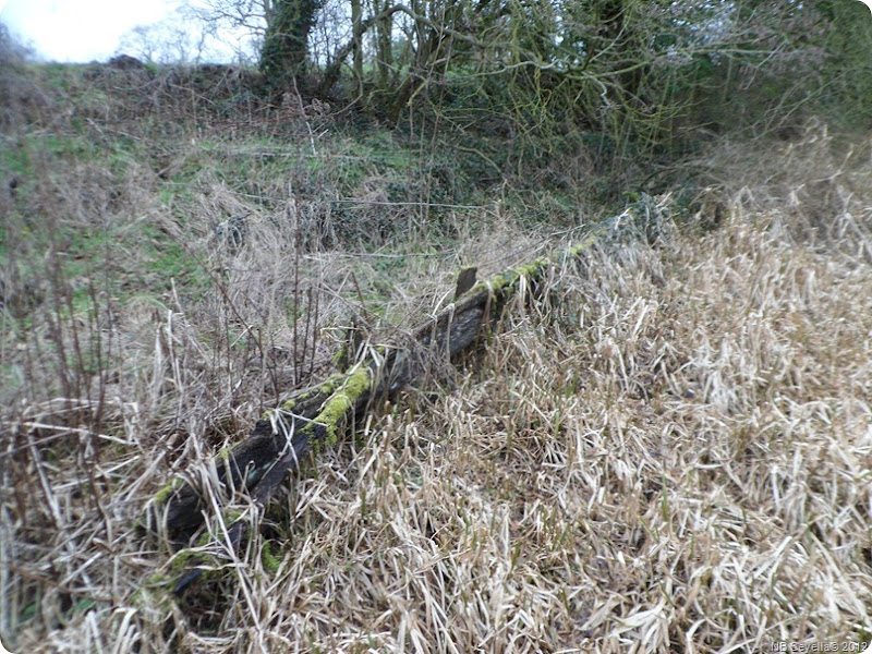 SAM_0008 Remains of timber edging SAM_0008 Remains of timber edging