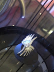 I loved this Phoenix wing diamond ring from Lalique. They also had matching earrings and a bracelet. I loved this Phoenix wing diamond ring from Lalique. They also had matching earrings and a bracelet.