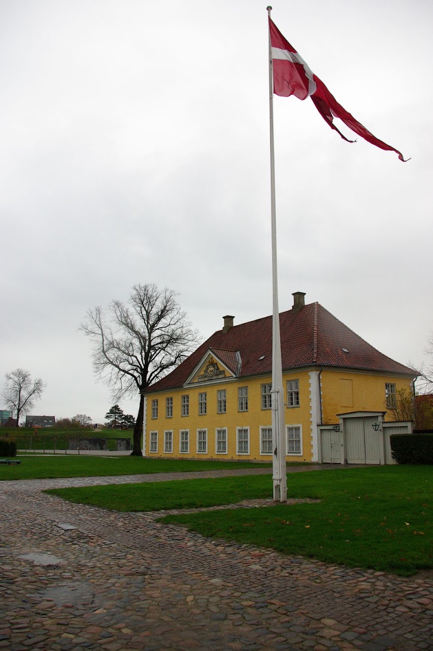 IMGP9675.JPG