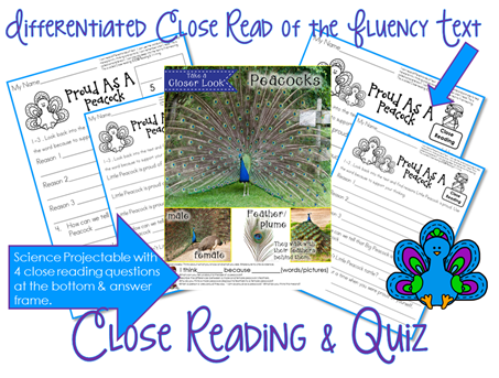 close reading