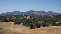 DSC02888.jpg