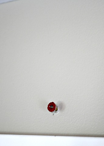 [IMG_1775%255B4%255D.jpg]