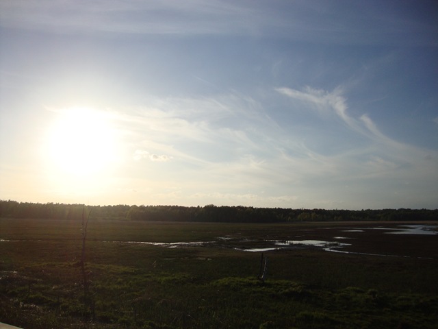 [DSC02967%255B3%255D.jpg]