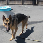 DSCN5073.jpg