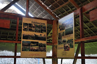 pinoyecofarm penalosa farms_0027.JPG