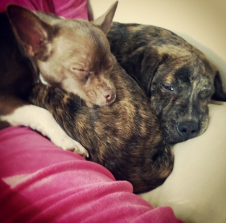 [image%255B11%255D.png]