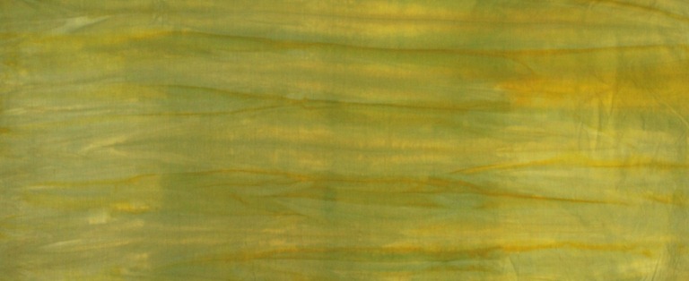 [friedagreen%255B4%255D.jpg]