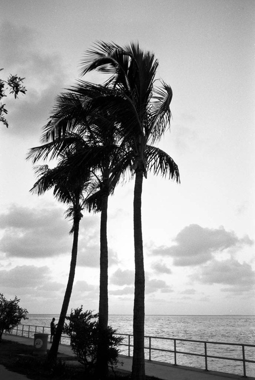 [Film-34-154.jpg]